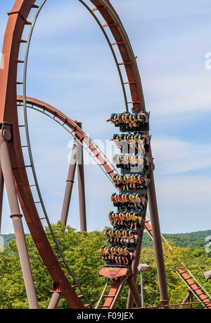 Wildfire, 12 Geschichte Stahl Achterbahn mit einer Höchstgeschwindigkeit von 66 Meilen pro Stunde und fünf Loops, Rollen und Korkenzieher, Silver Dollar City Stockfoto