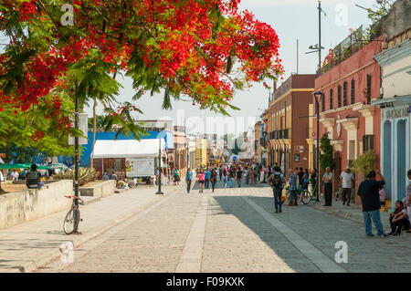 Macedonio Alcala, Oaxaca, Mexiko Stockfoto