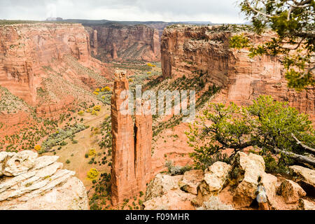 Spider Rock, Canyon de Chelly, Arizona Stockfoto