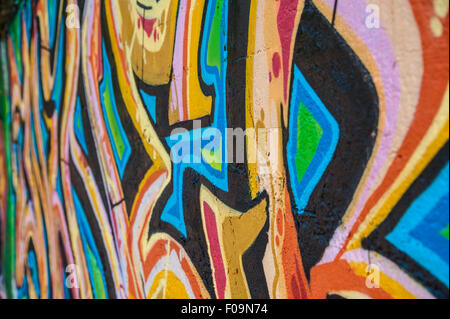 Detailansicht der bunten Graffiti an der Wand in Asheville, North Carolina Fluss Arts District. USA. Stockfoto