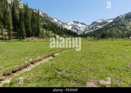 In Kupfer Creek Basin, Wallowa Mountains, Oregon Trail. Stockfoto