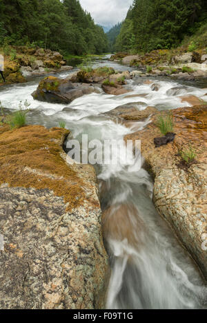 North Fork des Middle Fork des Willamette River fließt durch schmale Rinnen in Grundgestein, Oregon. Stockfoto