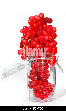 Rote Johannisbeeren in Glas auf weißem Hintergrund Stockfoto