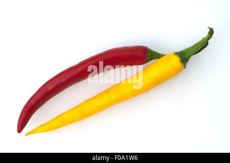 Chili, Paprika; Annuum; Stockfoto