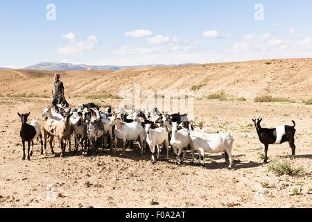 Hirte stehend mit Ziegen in Dessert, Salalah, Dhofar, Oman Stockfoto