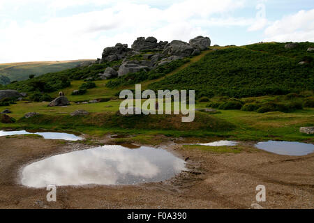 Bonehill Felsen auf Dartmoor in Devon mit einer Feder auf dem Boden ausgeführt Stockfoto