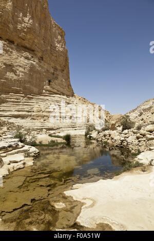 Blick auf Ein Avdat und stilles Wasser im En Avdat Nationalpark Negev, Israel Stockfoto