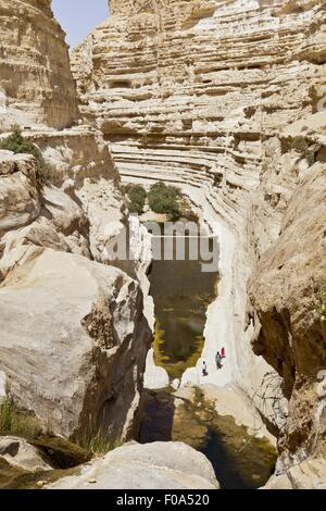 Ansicht des Menschen an Ein Avdat und stilles Wasser in En Avdat Nationalpark, Negev, Israel Stockfoto