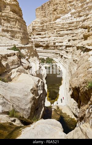 Ansicht des Menschen an Ein Avdat und stilles Wasser in En Avdat Nationalpark, Negev, Israel Stockfoto