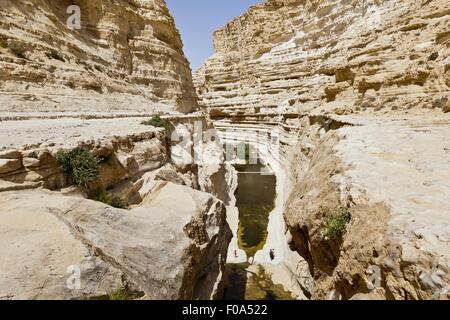 Ansicht des Menschen an Ein Avdat und stilles Wasser in En Avdat Nationalpark, Negev, Israel Stockfoto