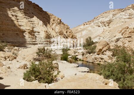 Ansicht des Menschen an Ein Avdat und stilles Wasser in En Avdat Nationalpark, Negev, Israel Stockfoto