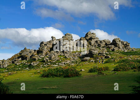 Houndtor am East Dartmoor ist eines der vielen atemberaubenden ren wir auf Dartmoor schätzen können, schaffen sie eine atemberaubende Landschaft Stockfoto