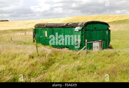 Eine alte grüne Eisenbahnwagen in einem Feld neben der Forvie National Nature Reserve, Aberdeenshire, Schottland, Vereinigtes Königreich. Stockfoto