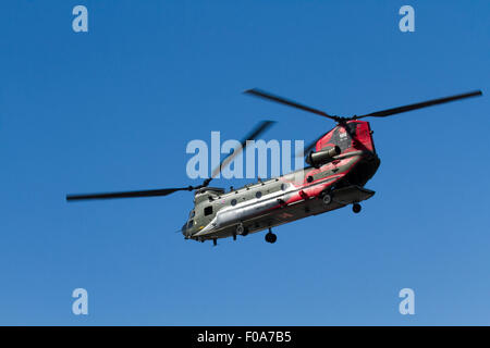 Blackpool, Lancashire, UK 10. August 2015. Centenary Sonderregelung Chinook Gedenk Schaltpläne auf ZA712 von 27 Squadron RAF geflogen werden.  Markieren Sie 18 ist Geschwader hundertjährigen.  Ein kleines Team an RAF Odiham wurden mit der Erforschung der Squadron Geschichte und Gestaltung einer Sonderlackierung zum Gedenken an ihre letzten 100 Jahren seiner Dienstzeit beauftragt. Die ZA712 war tatsächlich eines der Golfkrieg listeten Flugzeug ganz im Jahr 1990 zurück. Bildnachweis: Cernan Elias/Alamy Live-Nachrichten Stockfoto