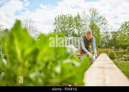 Reife Frau, im Freien, im Garten Stockfoto