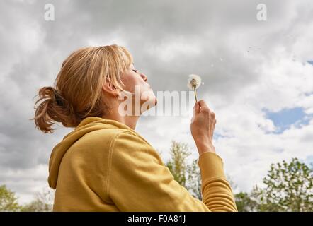Reife Frau bläst Samen aus Löwenzahn, niedrigen Winkel Ansicht Stockfoto