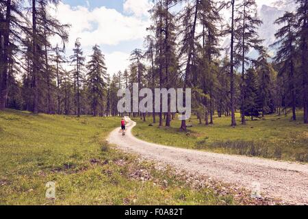 Reife Frau zu Fuß auf dem Feldweg, hintere Ansicht, Ehrwald, Tirol, Österreich Stockfoto