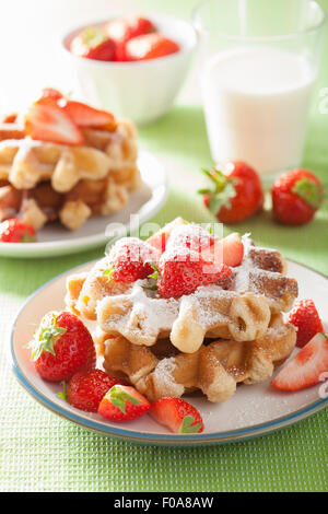 belgische Waffeln mit Puderzucker und Erdbeere Stockfoto