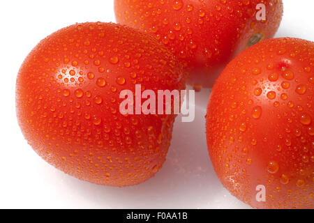 Roma-Tomaten, Romatomaten, Lycopersicon Esculentum; Stockfoto