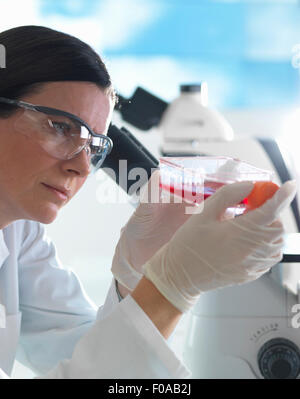 Weibliche Zellbiologe hält Kolben mit Stammzellen, kultiviert in roten Wachstumsmedium Stockfoto
