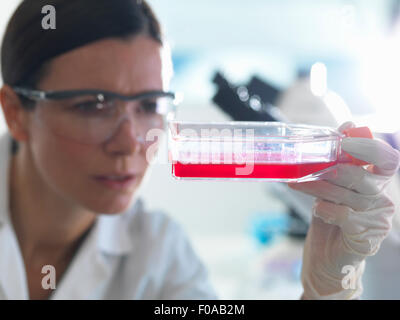 Weibliche Zellbiologe hält Kolben mit Stammzellen, kultiviert in roten Wachstumsmedium Stockfoto