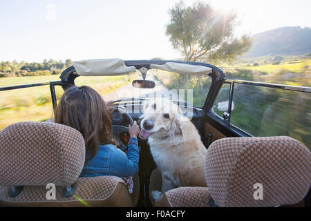 Reife Frau und Hund, im Cabrio, Rückansicht Stockfoto