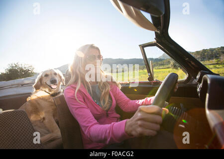 Reife Frau und Hund, im Cabrio Stockfoto