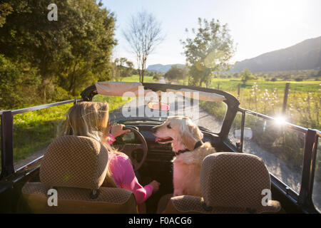 Reife Frau und Hund, im Cabrio, Rückansicht Stockfoto