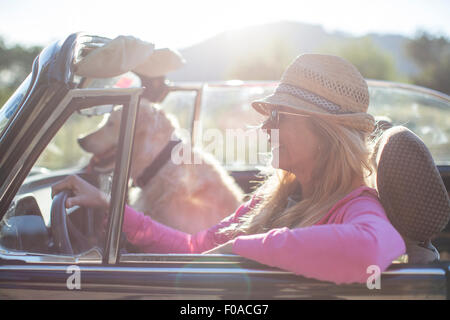 Reife Frau und Hund, im Cabrio Stockfoto