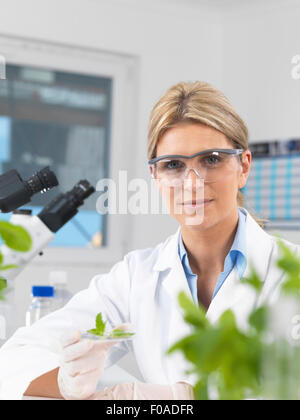 Wissenschaftler, die Entwicklung der experimentellen Pflanzen im Forschungslabor anzeigen Stockfoto