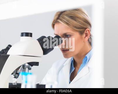 Nahaufnahme der Wissenschaftler betrachten Probe auf Glasobjektträger durch Mikroskop für medizinische Tests Stockfoto