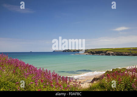 Ein Blick über Harlyn Strand in Richtung Padstow Stockfoto