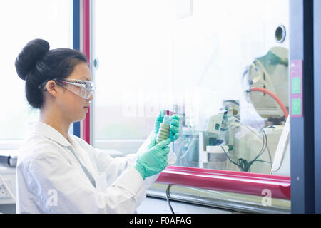 Junge Wissenschaftlerin Blick auf Probe im Labor Stockfoto
