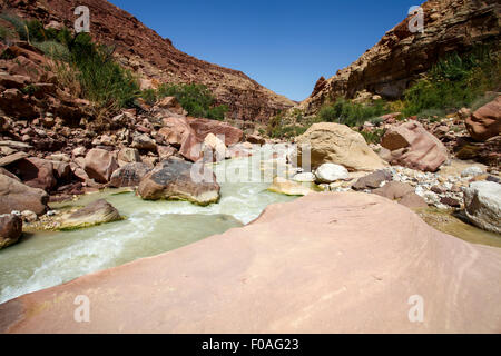 Wadi Zered (Wadi Hassa oder Hasa) im westlichen Jordanien. Ein Sand Stone Canyon mit frischem Wasser. Ins Tote Meer fließen Stockfoto