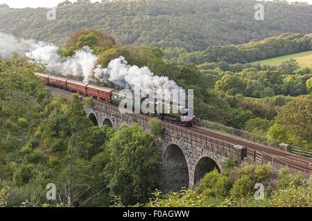 Das königliche Herzogtum, Tangmere, über Clinnick Viadukt dämpfen Stockfoto