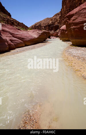 Wadi Zered (Wadi Hassa oder Hasa) im westlichen Jordanien. Ein Sand Stone Canyon mit frischem Wasser. Ins Tote Meer fließen Stockfoto