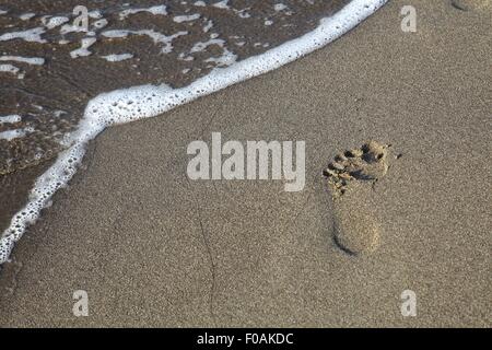 Fußdruck am Strand von Sarigerme Park Iberthotel in der Türkei Stockfoto