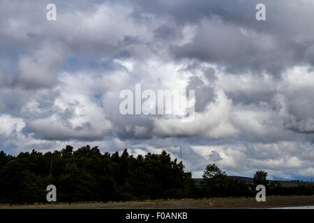 Dundee, Tayside, Scotland, UK, 11. August 2015. Wetter: Ein heller Tag mit wenig Sonnenschein manchmal, aber auch ein paar leichte Schauer über die Hügel zunächst mit leichter oder mäßiger Westwind. Maximale Temperatur 19° C. Morgen Regenwolken Brauen quer durch die Stadt Sidlaw Hills und Dundee als Gewitter im Laufe des Tages bedrohen. Bildnachweis: Dundee Photographics / Alamy Live News Stockfoto