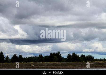 Dundee, Tayside, Scotland, UK, 11. August 2015. Wetter: Ein heller Tag mit wenig Sonnenschein manchmal, aber auch ein paar leichte Schauer über die Hügel zunächst mit leichter oder mäßiger Westwind. Maximale Temperatur 19° C. Morgen Regenwolken Brauen quer durch die Stadt Sidlaw Hills und Dundee als Gewitter im Laufe des Tages bedrohen. Bildnachweis: Dundee Photographics / Alamy Live News Stockfoto