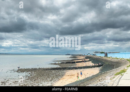 Canvey Island - Das vorland auf Canvey Island, Essex. Stockfoto