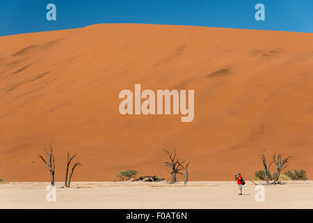 Die Toten Viei (DeadVlei) Pfanne, Namib-Naukluft-Nationalpark, Sossusviei, Namib-Wüste, Hardap Region, Republik Namibia Stockfoto