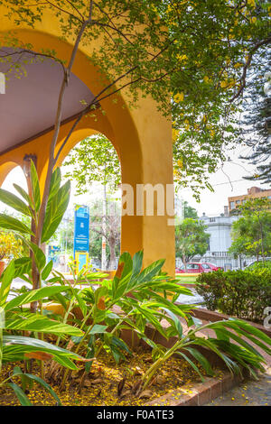 Typische Patron mexikanischen Haus. Guadalajara, Jalisco. Mexiko Stockfoto