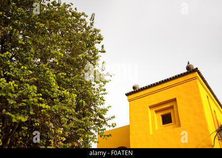 Typische Patron mexikanischen Haus. Guadalajara, Jalisco. Mexiko Stockfoto