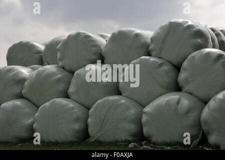 Nahaufnahme von Heuballen in Plastiktüten Stockfoto