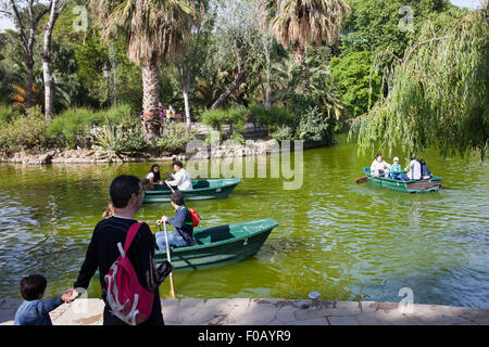 See mit Ruderboote zu mieten im Parc De La Ciutadella in Barcelona, Katalonien, Spanien Stockfoto