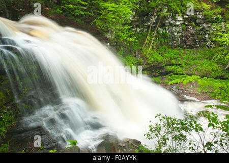 FRÜHLING TORRENT ERIE WASSERFÄLLE KÜCHE CREEK RICKETTS GLEN STATE PARK LUZERNE COUNTY PENNSYLVANIA USA Stockfoto