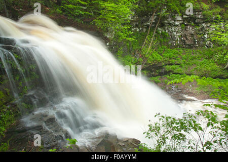 FRÜHLING TORRENT ERIE WASSERFÄLLE KÜCHE CREEK RICKETTS GLEN STATE PARK LUZERNE COUNTY PENNSYLVANIA USA Stockfoto