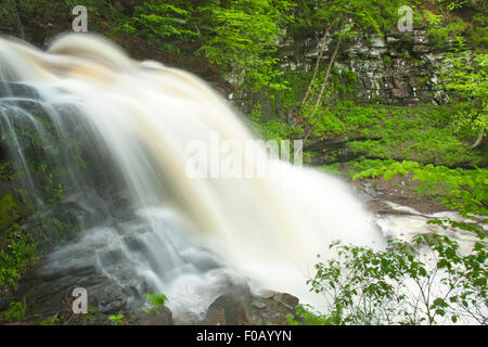 FRÜHLING TORRENT ERIE WASSERFÄLLE KÜCHE CREEK RICKETTS GLEN STATE PARK LUZERNE COUNTY PENNSYLVANIA USA Stockfoto