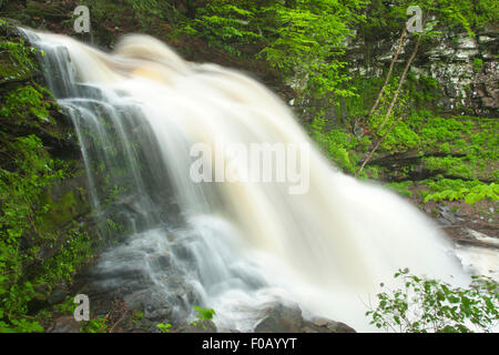 FRÜHLING TORRENT ERIE WASSERFÄLLE KÜCHE CREEK RICKETTS GLEN STATE PARK LUZERNE COUNTY PENNSYLVANIA USA Stockfoto