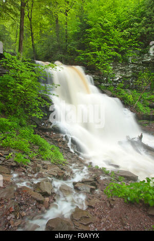 FRÜHLING TORRENT ERIE WASSERFÄLLE KÜCHE CREEK RICKETTS GLEN STATE PARK LUZERNE COUNTY PENNSYLVANIA USA Stockfoto